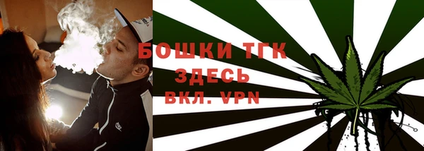шишки Беломорск