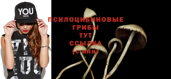прущие грибы Белокуриха