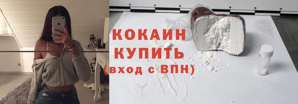 шишки Беломорск