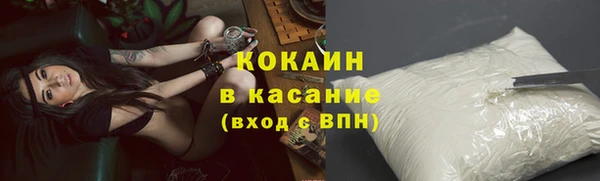 прущие грибы Белокуриха