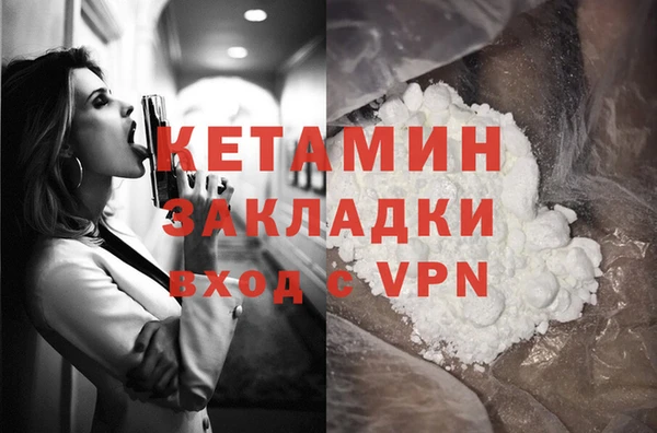 шишки Беломорск