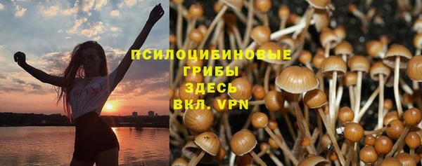 таблы Богданович