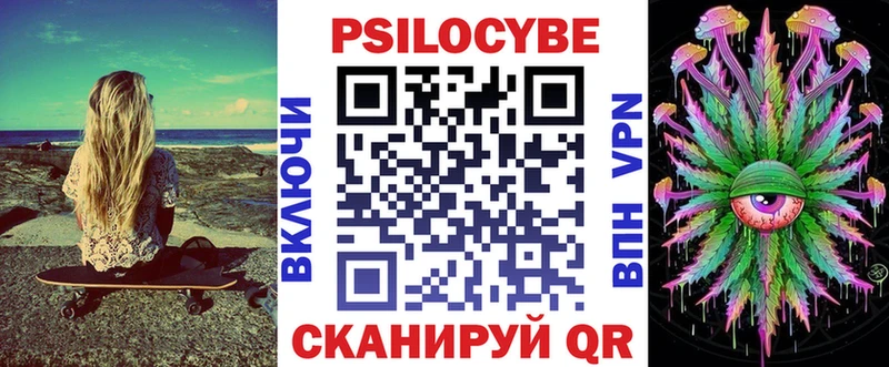 Псилоцибиновые грибы Psilocybe  Полесск 